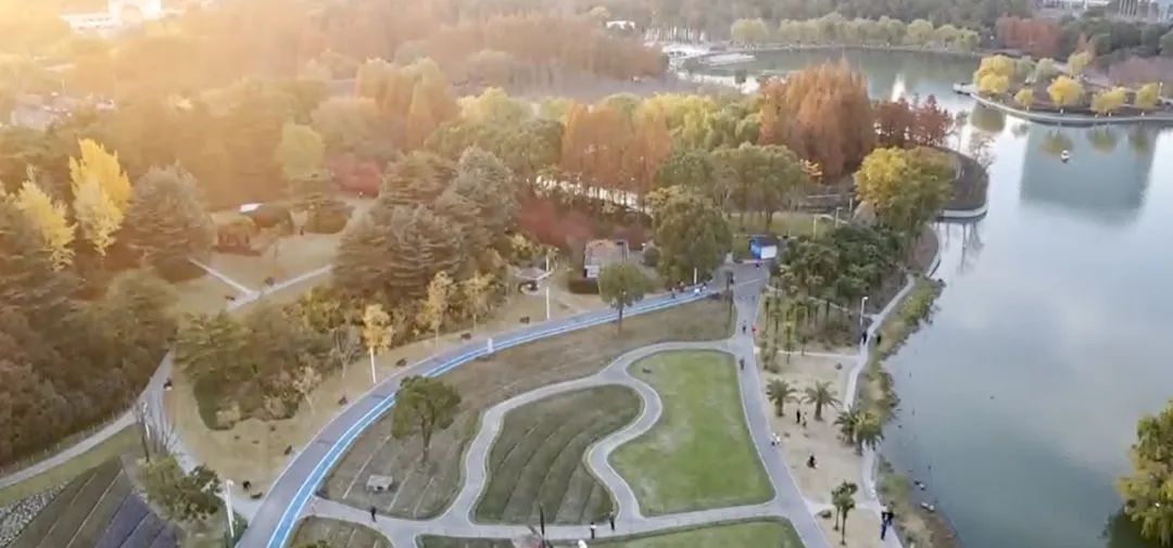 2026大连马拉松中签结果查询官网入口(图1)